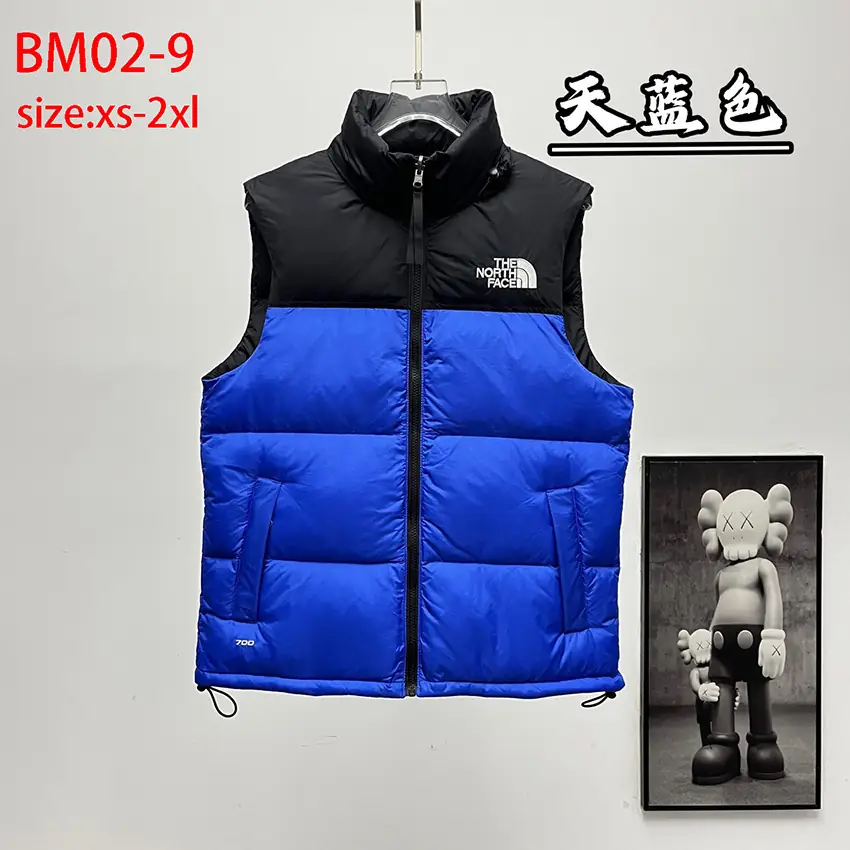 BM02 The North Face 1996 Classic Down Vest 50$ gallery
