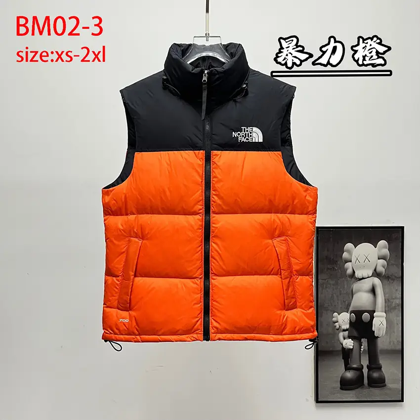 BM02 The North Face 1996 Classic Down Vest 50$ gallery