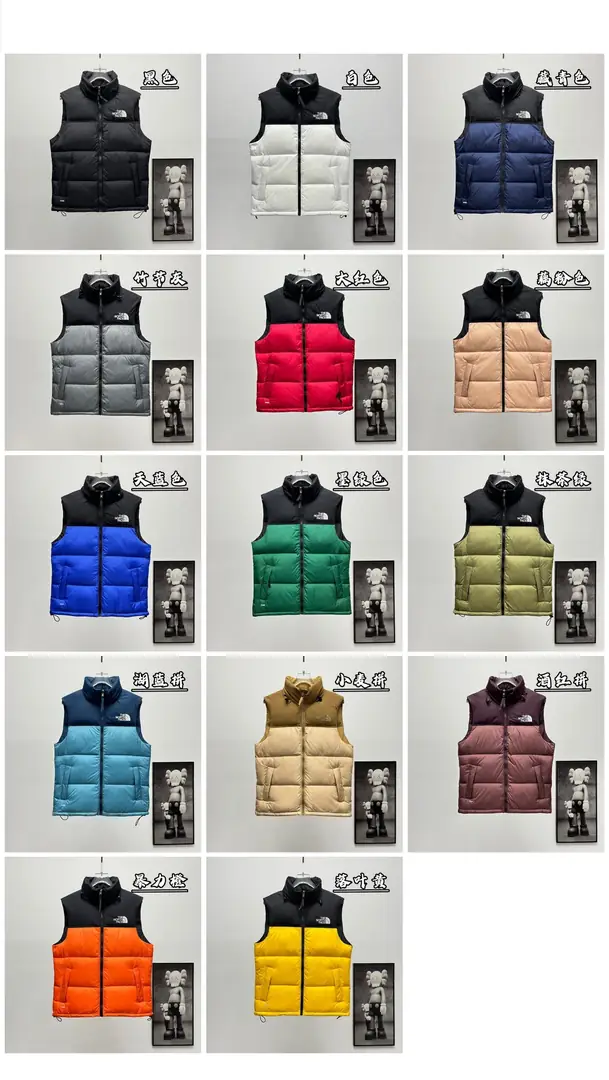 BM02 The North Face 1996 Classic Down Vest 50$ gallery