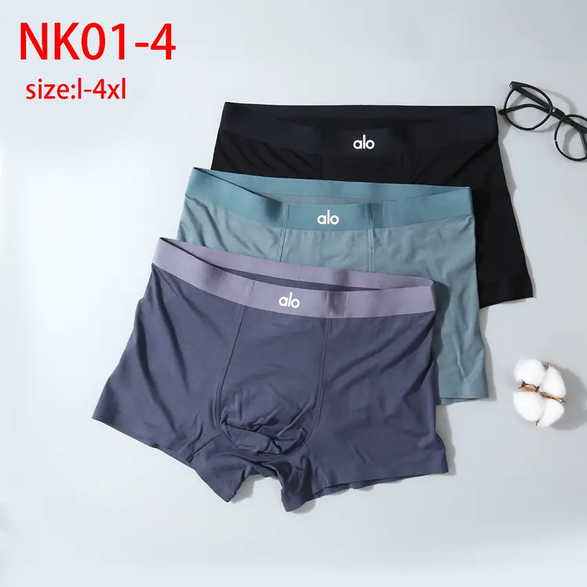 NK01 Alo Boutique Boxed Men's Underwear 28$ gallery