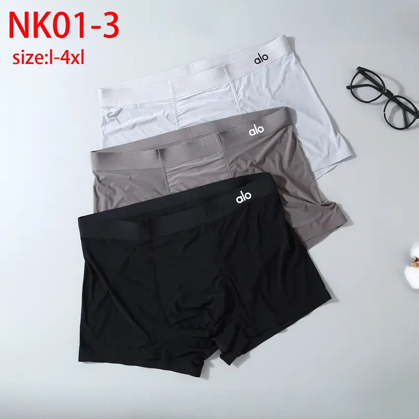 NK01 Alo Boutique Boxed Men's Underwear 28$ gallery