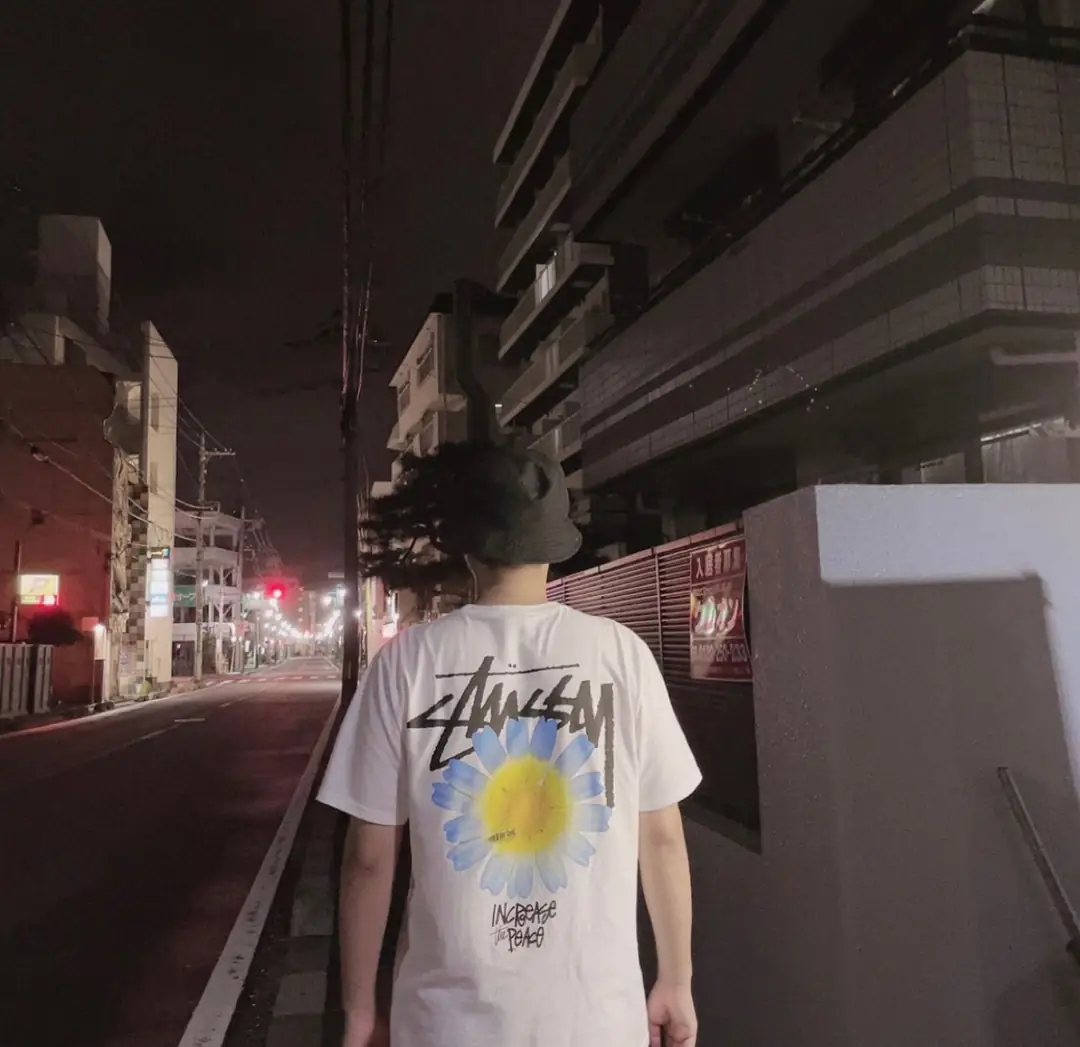 Q8V8 STUSSY short-sleeved T-shirt 35$ gallery