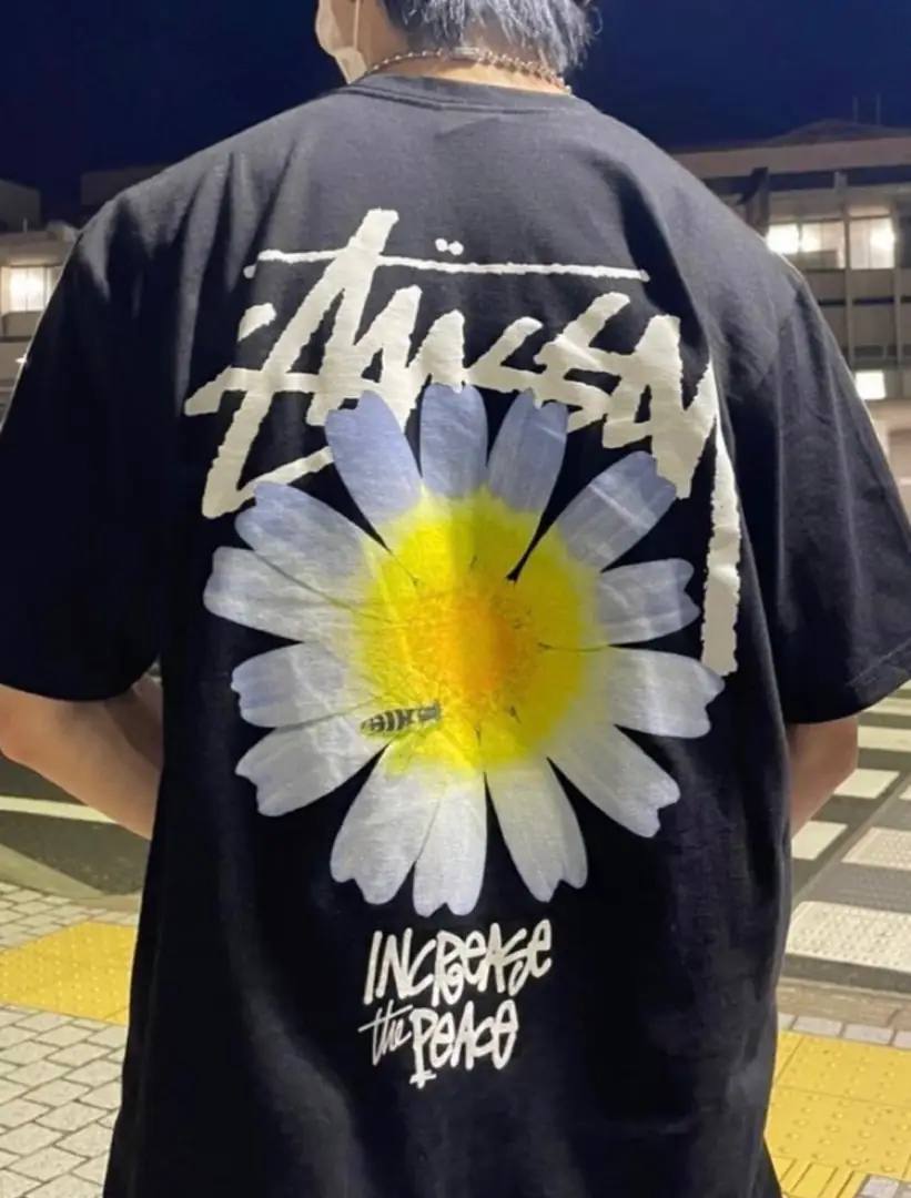 Q8V8 STUSSY short-sleeved T-shirt 35$ gallery