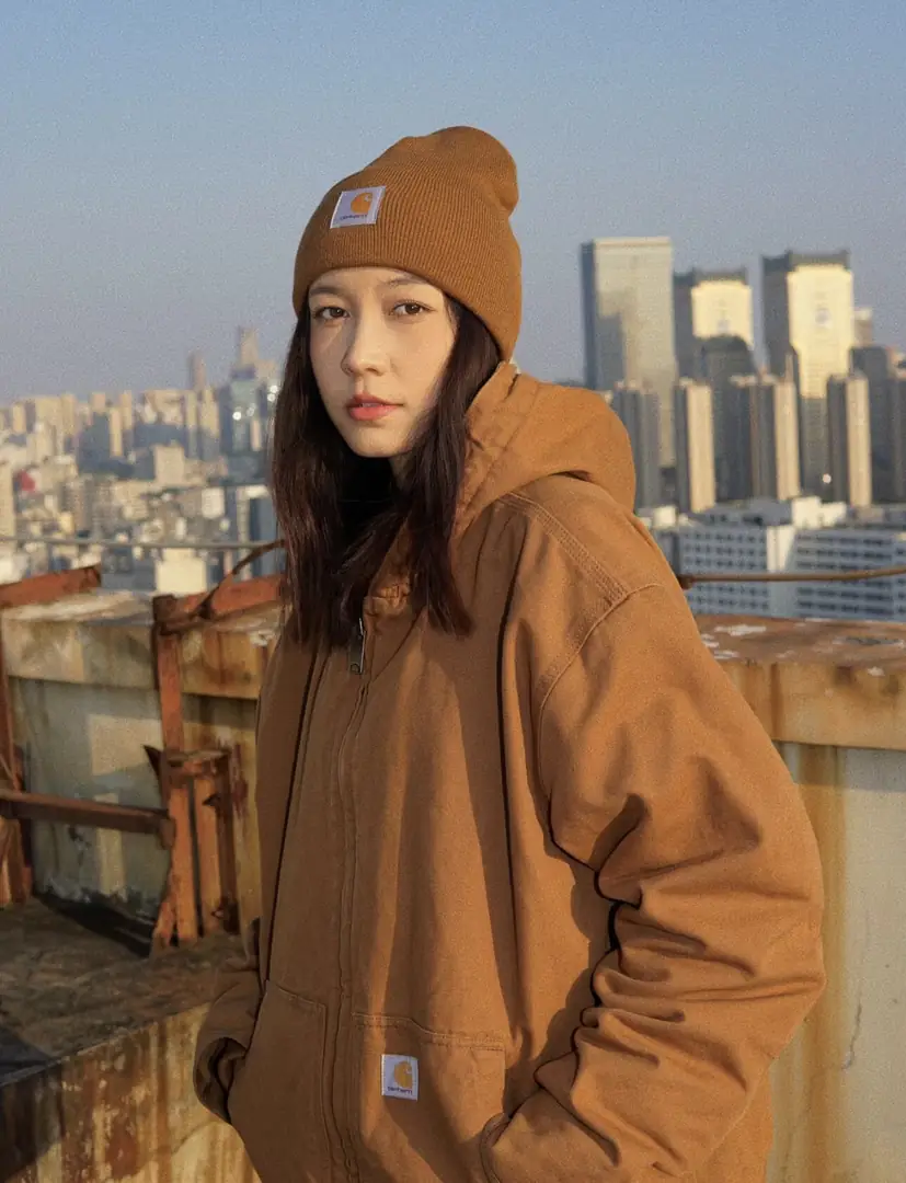 TV39 Carhartt ski hat 27$ gallery