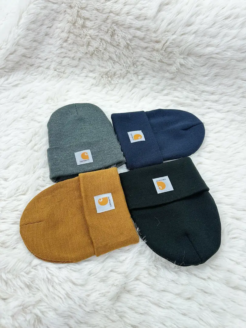 TV39 Carhartt ski hat 27$ gallery