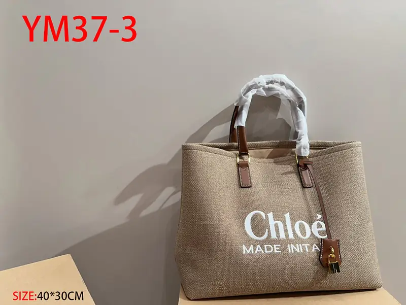 YM37 Chloe Top Canvas Bag 60$ gallery