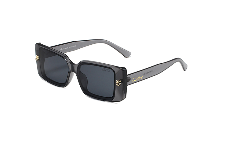 20$ new_dh CARTIER_0358 90541011299 FF6S191 gallery