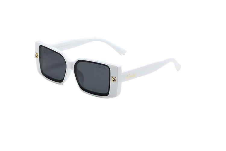 20$ new_dh CARTIER_0358 90541011299 FF6S191 gallery