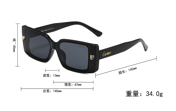 20$ new_dh CARTIER_0358 90541011299 FF6S191 gallery