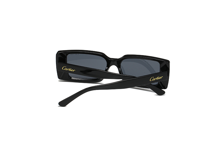20$ new_dh CARTIER_0358 90541011299 FF6S191 gallery