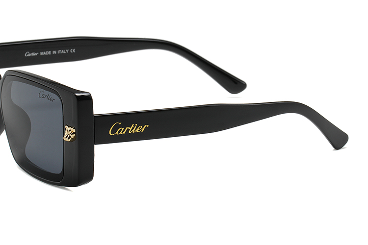 20$ new_dh CARTIER_0358 90541011299 FF6S191 gallery