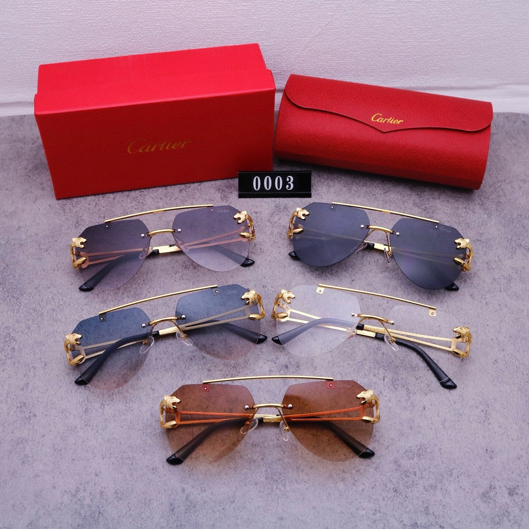 22$ new_dh CARTIER 0003 50263012413 FF5S304 gallery