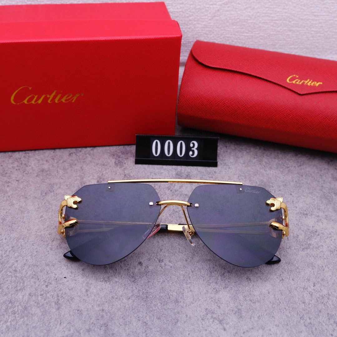 22$ new_dh CARTIER 0003 50263012413 FF5S304 gallery