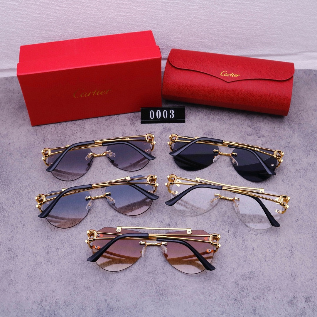 22$ new_dh CARTIER 0003 50263012413 FF5S304 gallery