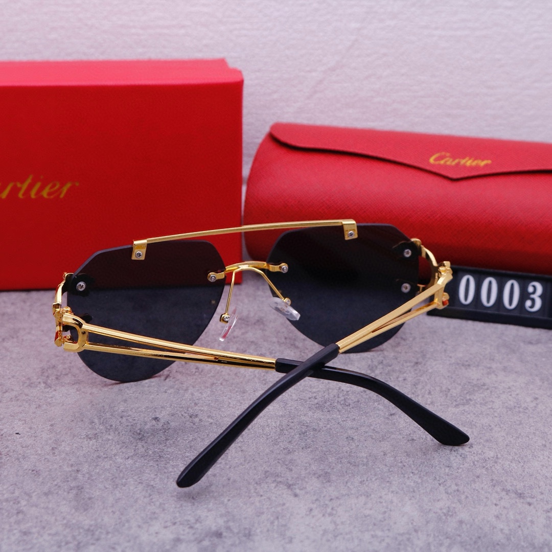 22$ new_dh CARTIER 0003 50263012413 FF5S304 gallery