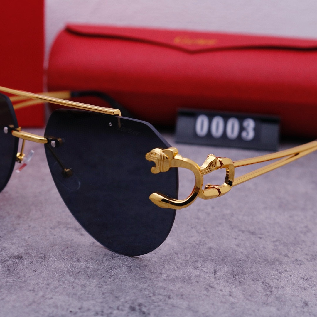 22$ new_dh CARTIER 0003 50263012413 FF5S304 gallery