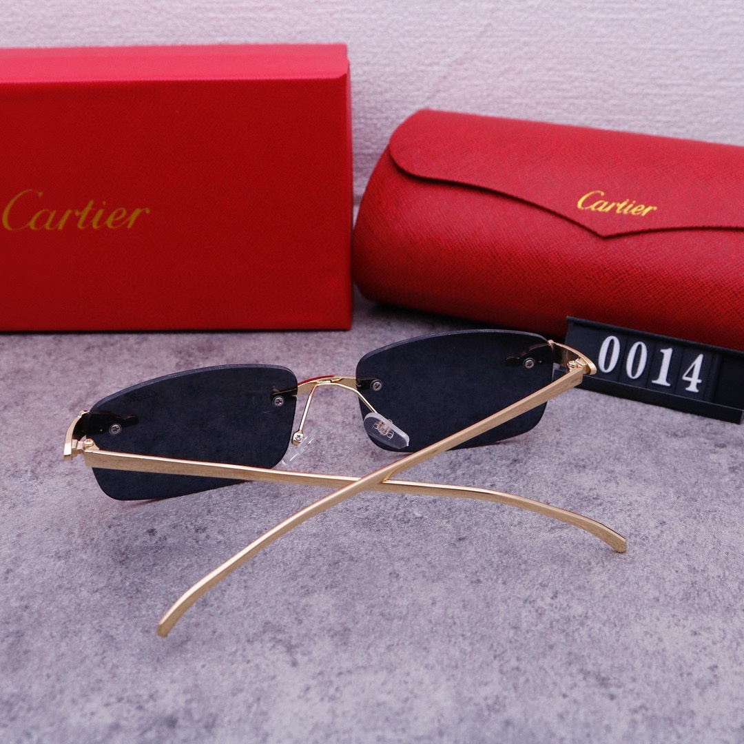 22$ new_dh CARTIER 0014 80564012413 FF5S313 gallery