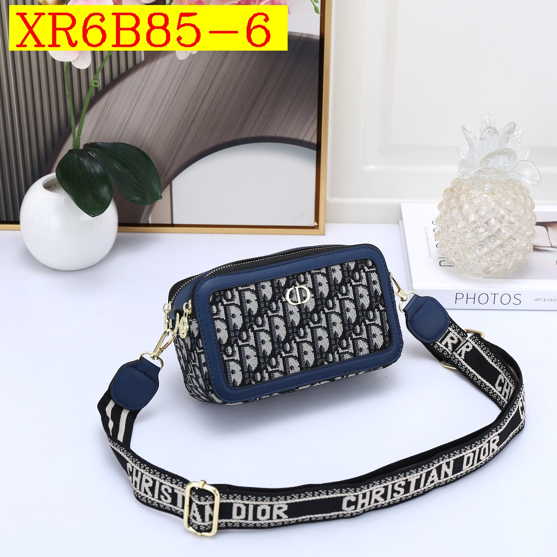 28$ new_dh DIOR_8841 SIZE 19X11X7 CM 81407012971 XR6B85 gallery