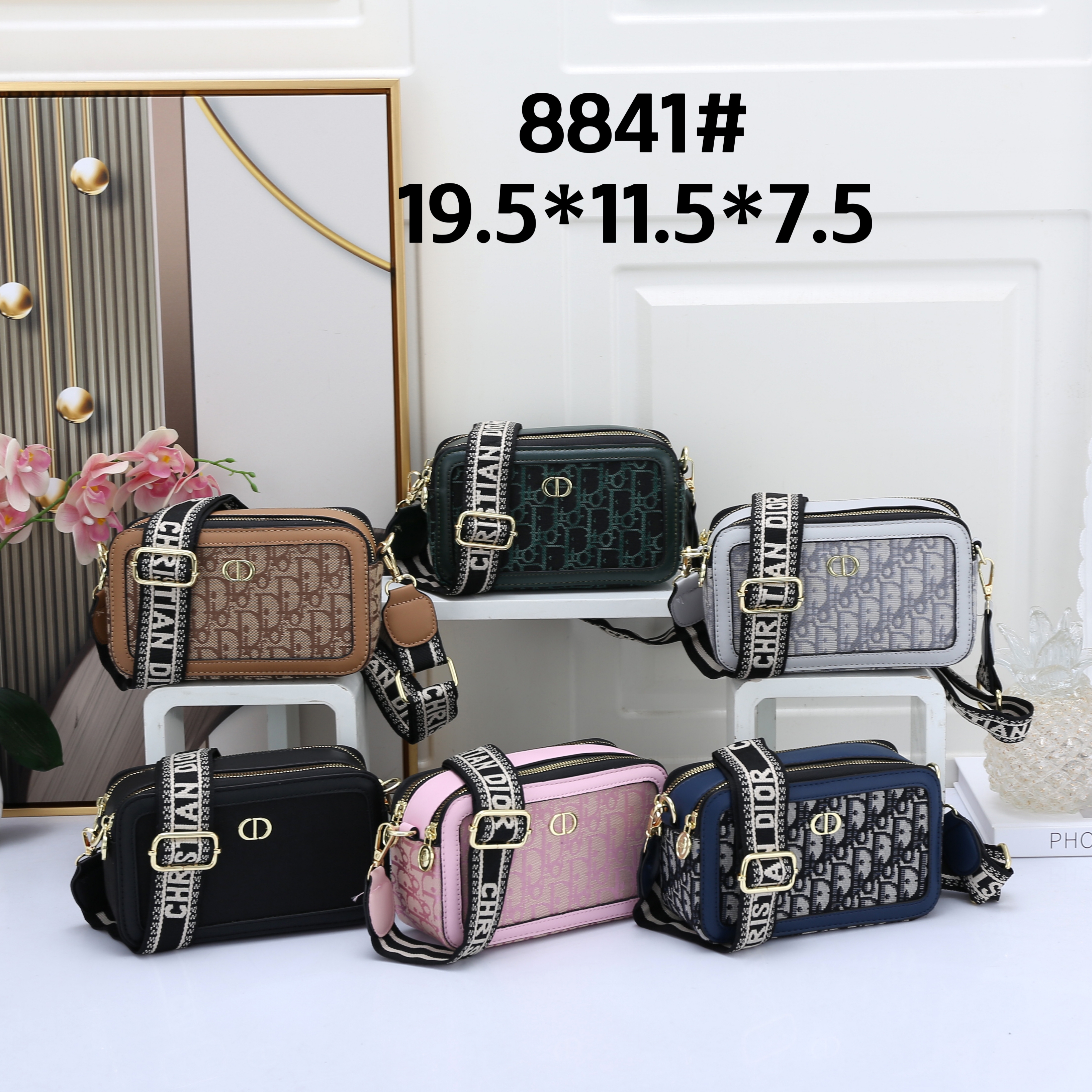 28$ new_dh DIOR_8841 SIZE 19X11X7 CM 81407012971 XR6B85 gallery