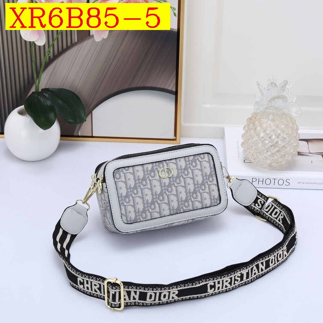 28$ new_dh DIOR_8841 SIZE 19X11X7 CM 81407012971 XR6B85 gallery
