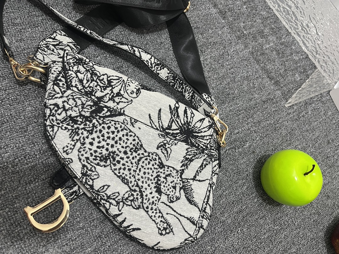 28$ new_dh dior 9185 size 24x18x4 cm 70485812878 ZY2B333 gallery