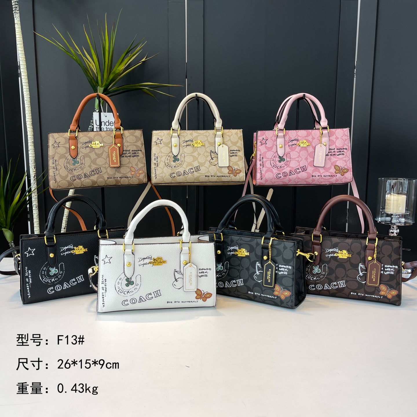 29$ dh COACH F13 Tote bag size 26X15X9 cm 60395222095 BY2683 gallery