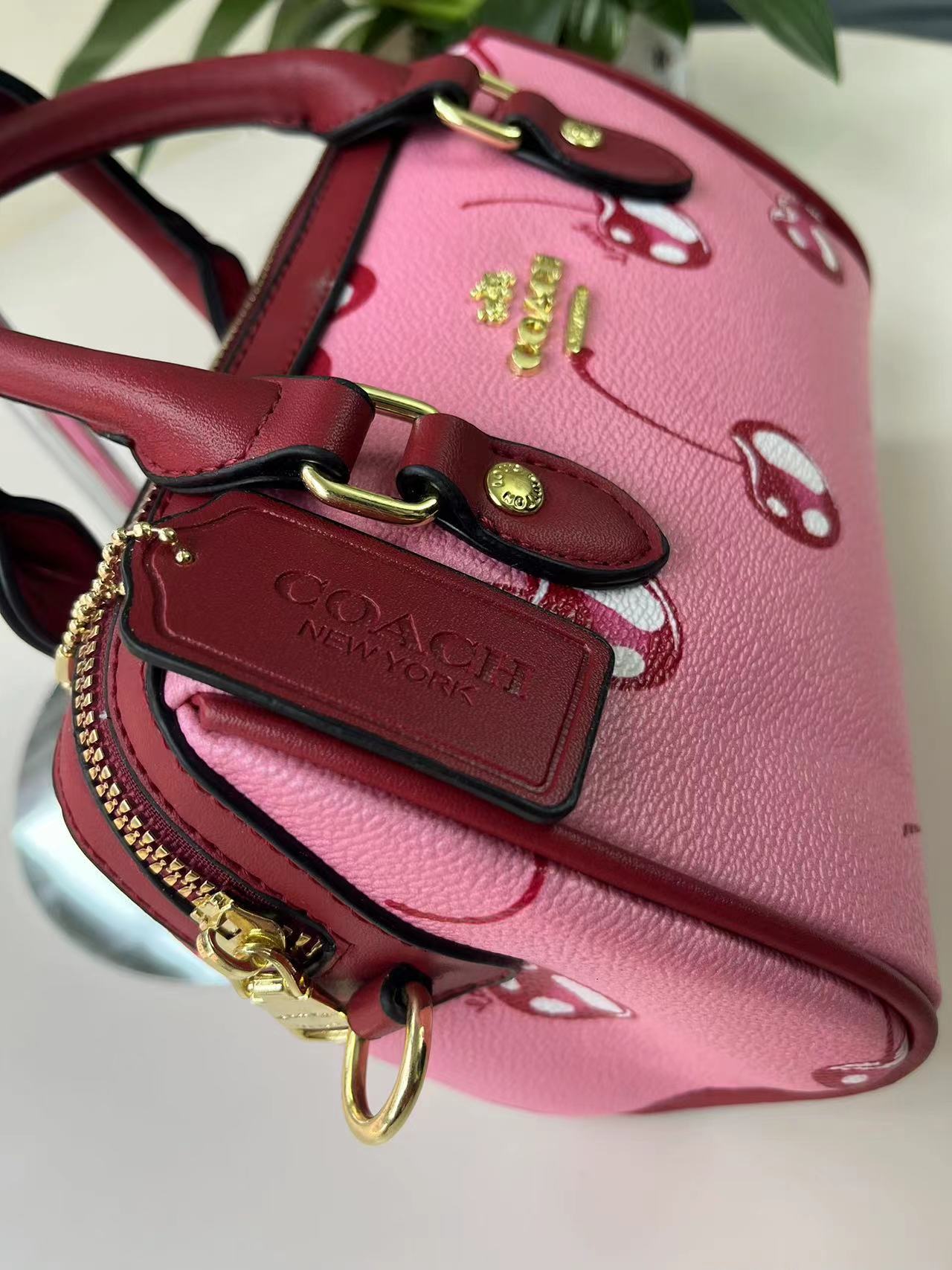 31$ new_dh coach QXKC016 SIZE 20X8X10 CM 80594222091 ZY1B305 gallery