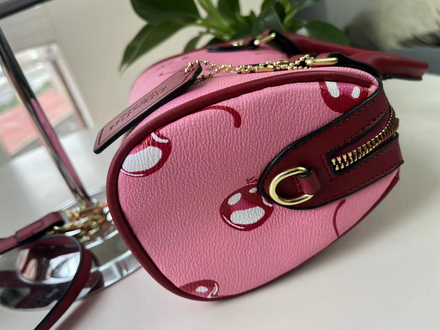 31$ new_dh coach QXKC016 SIZE 20X8X10 CM 80594222091 ZY1B305 gallery
