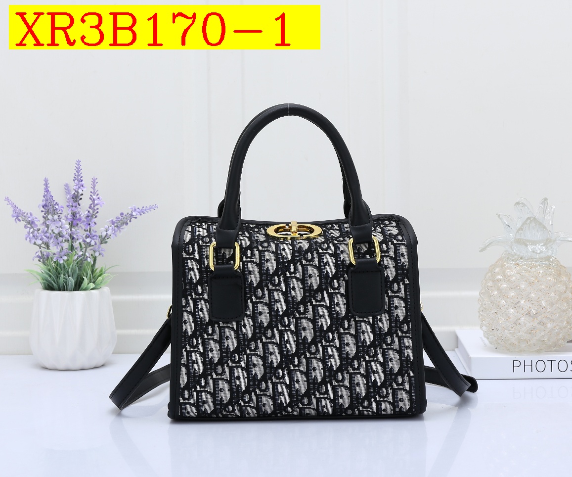 32$ new_dh DIOR_8838 SIZE 23X17X11 CM 71412623007 XR3B170 gallery