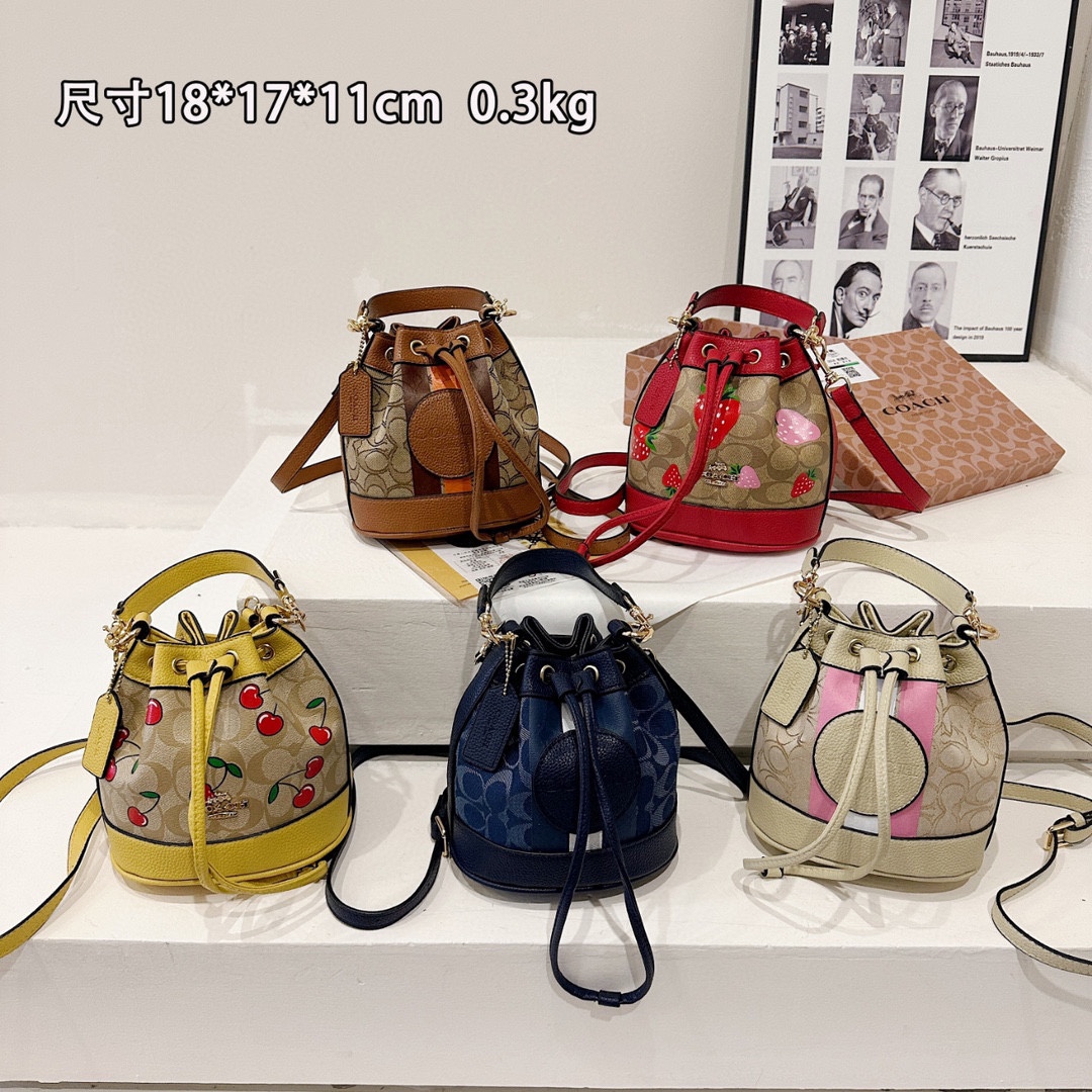 35$ new_dh COACH SIZE 18X17X11 CM 91541023331 DX5B19 gallery