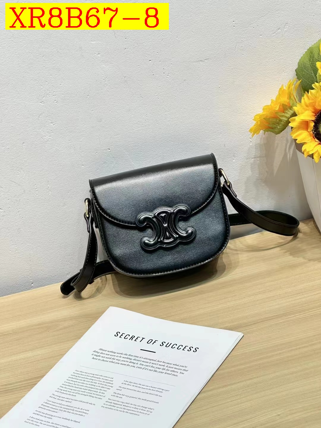 36$ new_dh CELINE_6888 SIZE 19X7X16 CM 51261023347 XR8B67 gallery