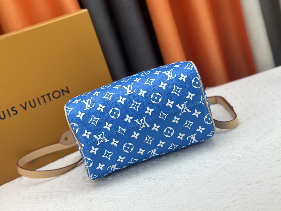 54$ new_dh LV_M24425 M24424 SIZE 25x15x15 cm 53648035515 XR1B287 gallery