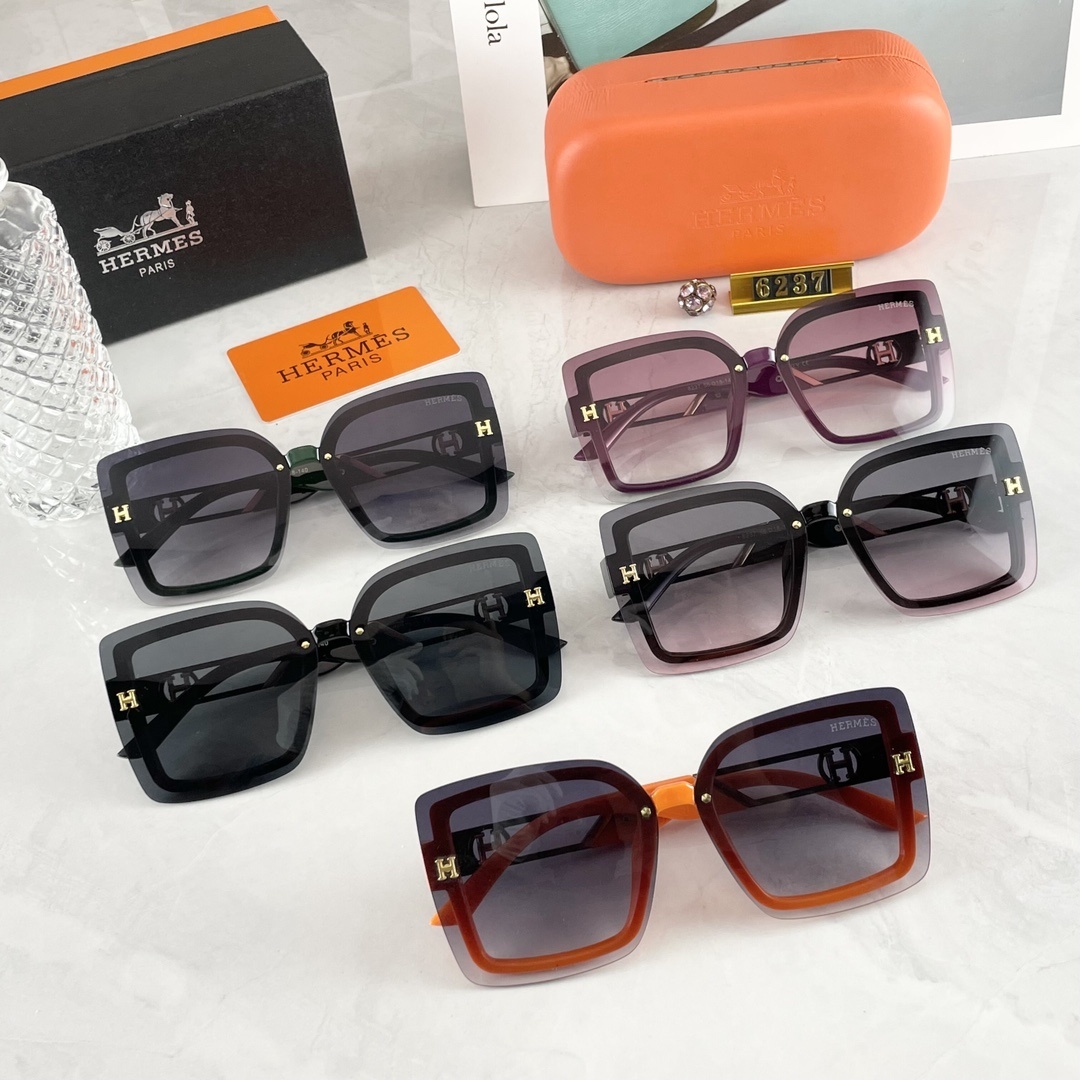 23$ new_dh HERMES 6237 50261012520 FF37 gallery