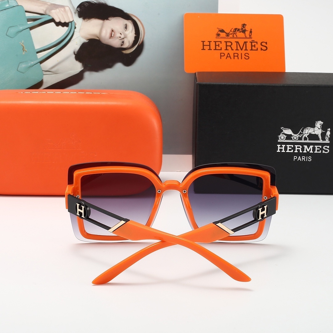 23$ new_dh HERMES 6237 50261012520 FF37 gallery