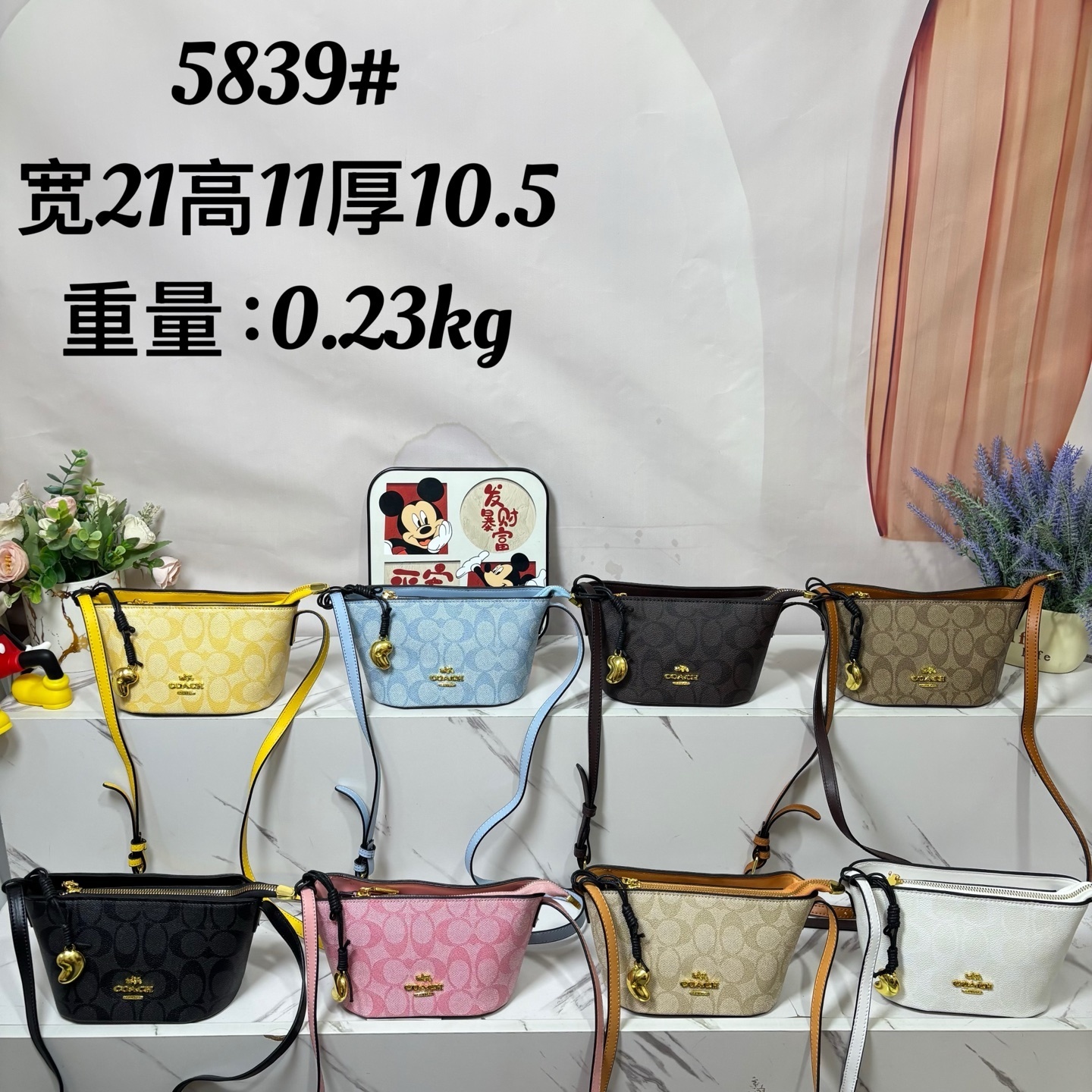 24$ COACH 5839 Shoulder bag size 21x11x10 cm 5820 BY3359 gallery