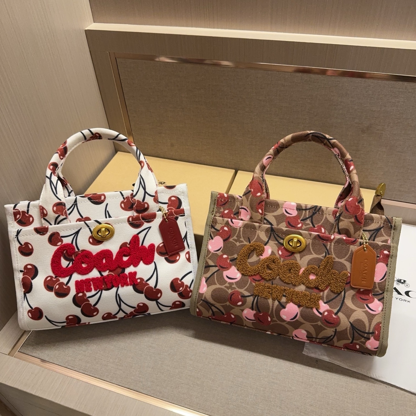 27$ COACH Tote bag size 25x18x6 cm 2838 BY3263 gallery