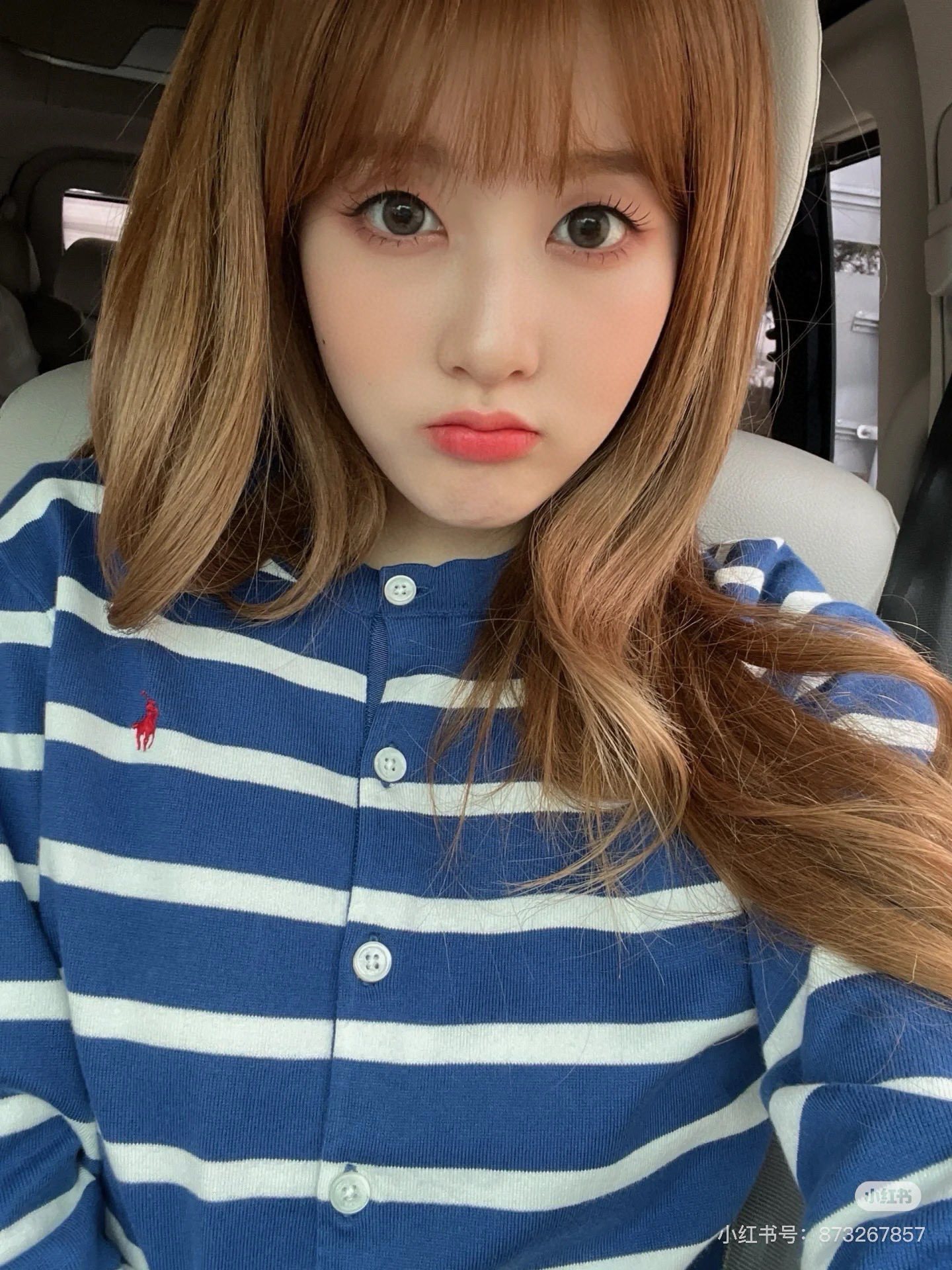 40$ new_dh Ralph Lauren Jacket size S-XL 41576023685 SH409 gallery