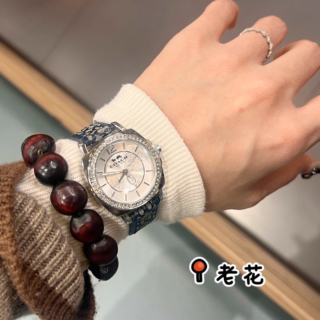 46$ Coach Watch 029530 CXJ24 gallery