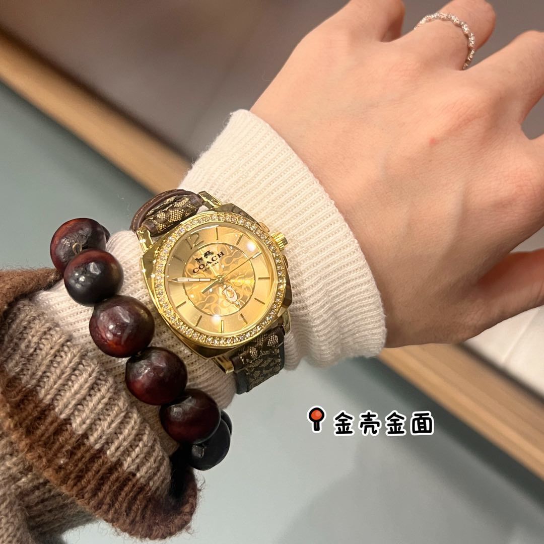46$ Coach Watch 029530 CXJ24 gallery