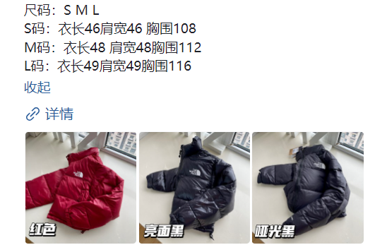 51$ new_dh THE NORTH FACE Down jacket SIZE S-L 72461034382 JB160 gallery