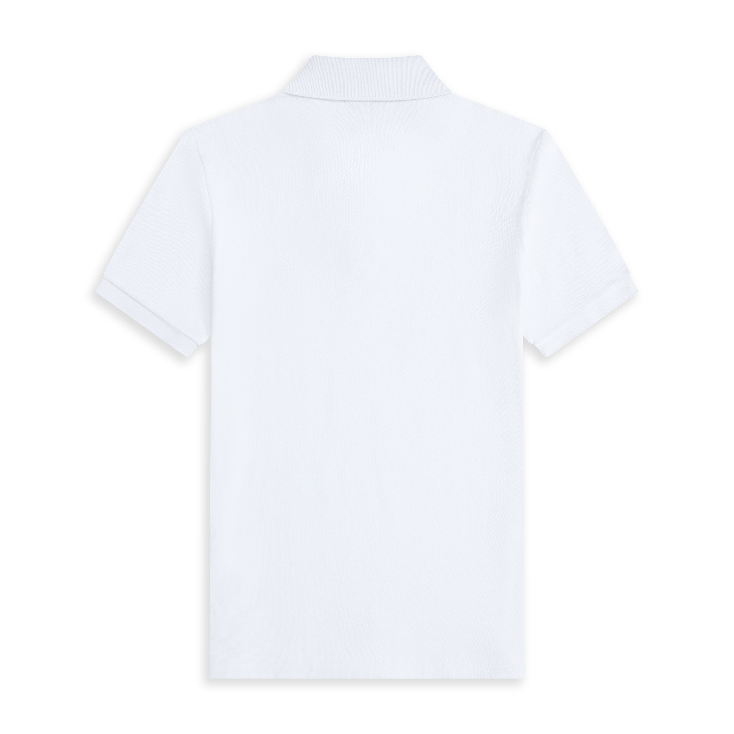 1813-￥| 29.99$POLO gallery