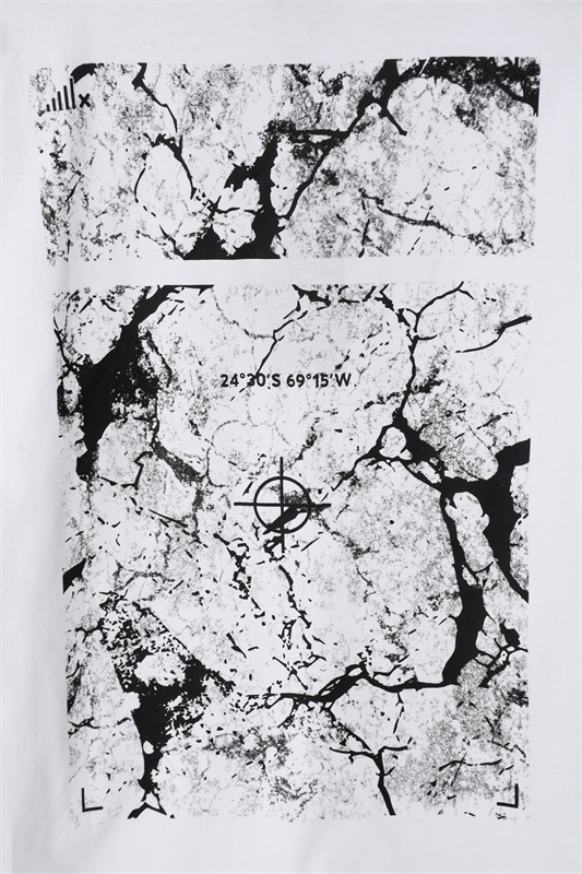 AA102-1-AA102-2  BOSS  552586#T-shirt gallery