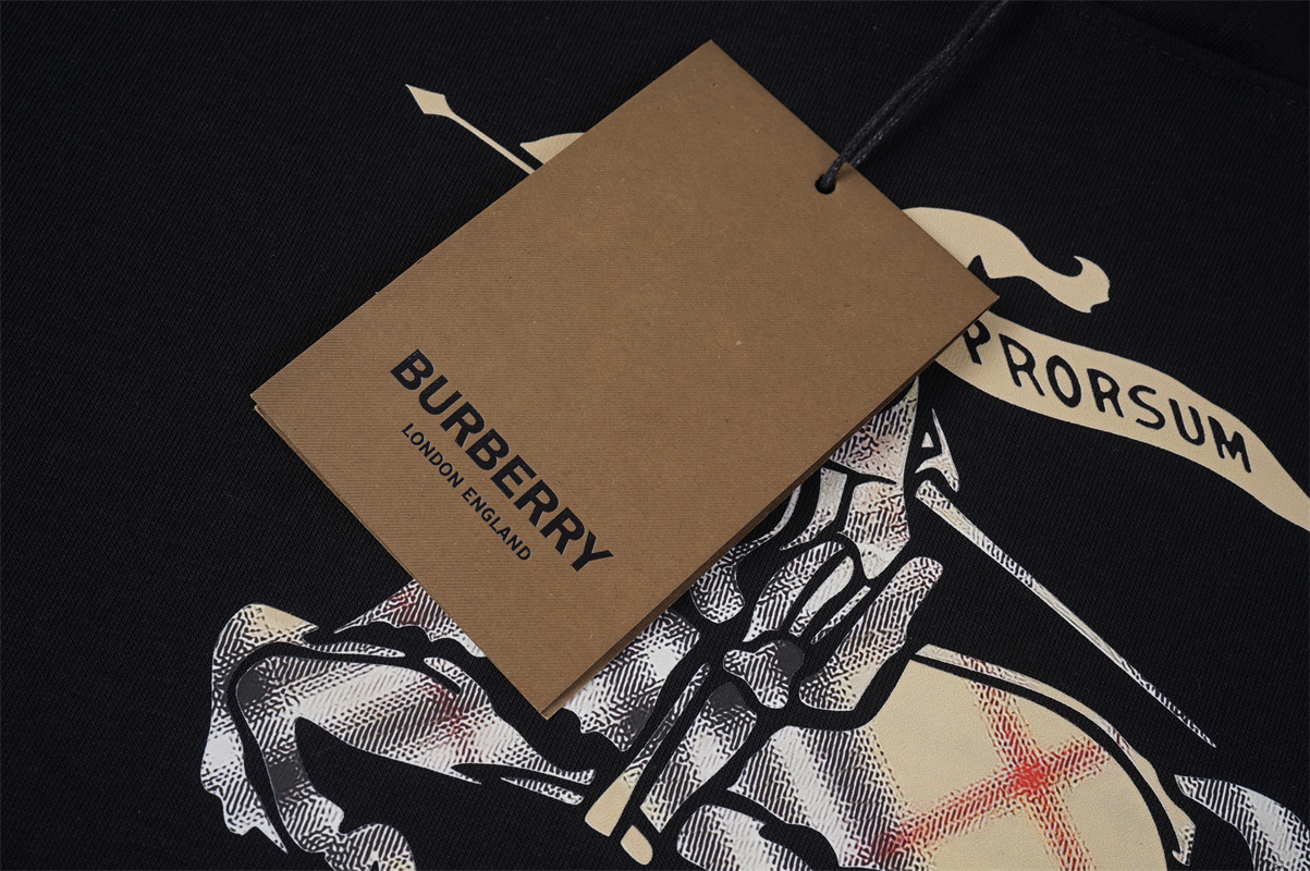 AA87-1-AA87-2   75C586#BURBERRY gallery