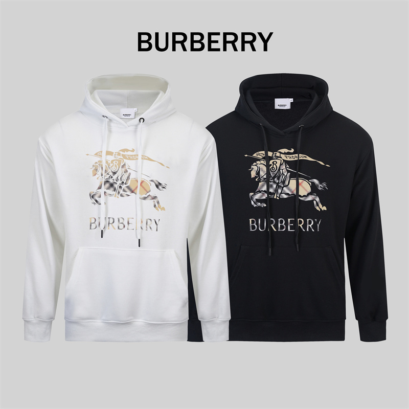 AA87-1-AA87-2   75C586#BURBERRY gallery