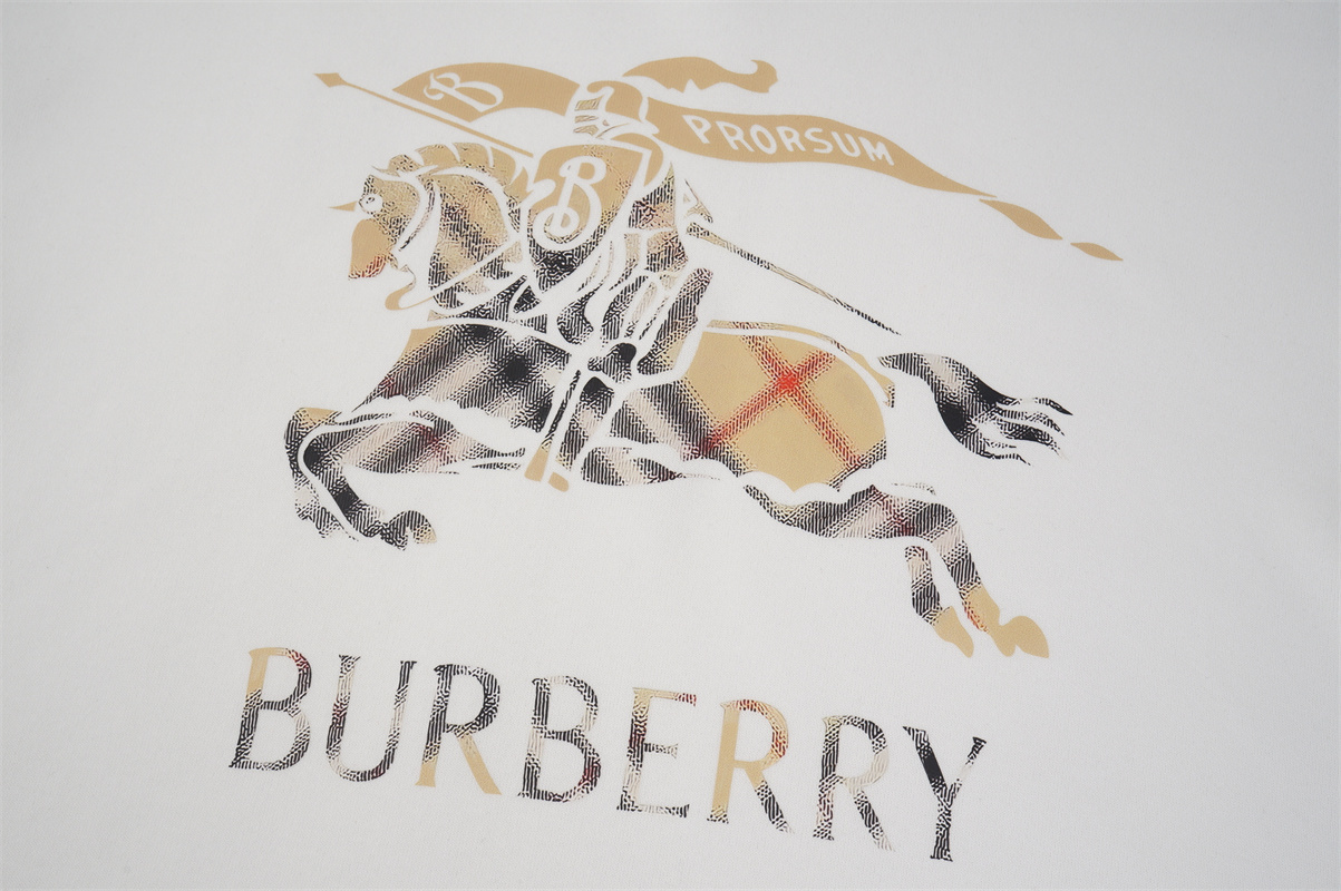 AA87-1-AA87-2   75C586#BURBERRY gallery