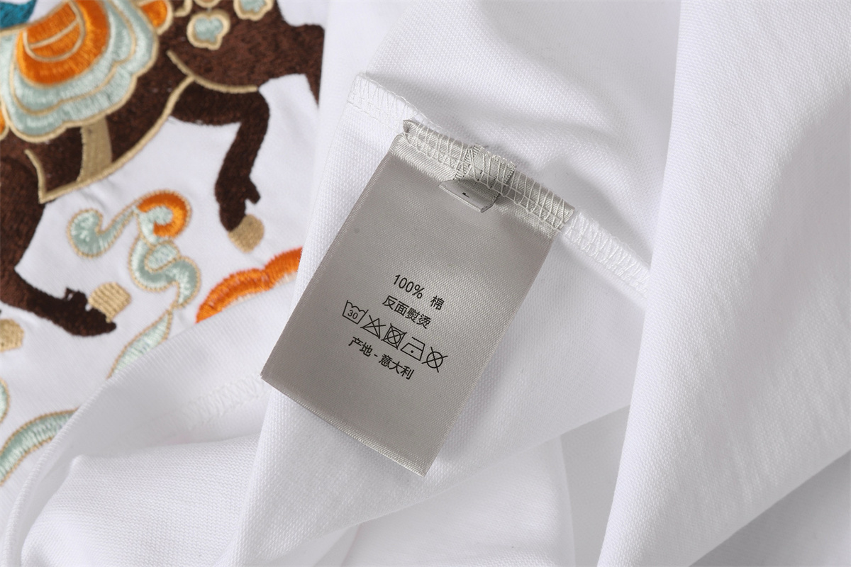 AA99-1-AA99-2  Dior  658958#T-shirt gallery