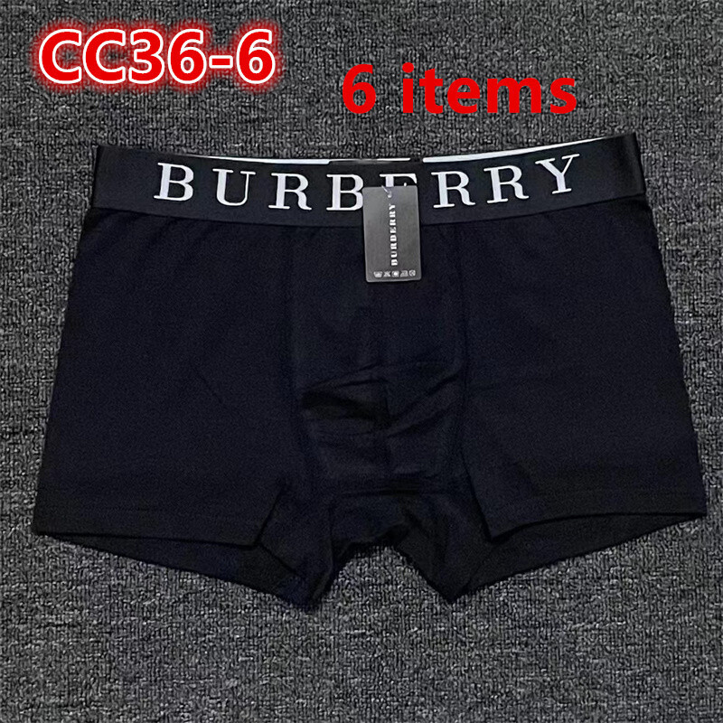 CC36-1-CC36-7  Burberry  underpants gallery