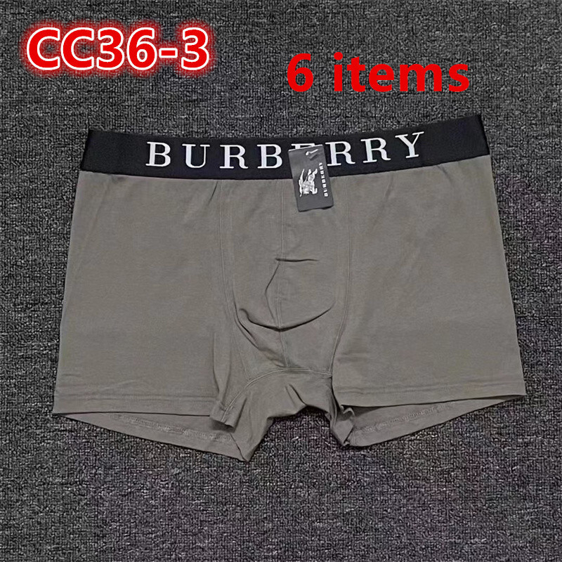CC36-1-CC36-7  Burberry  underpants gallery