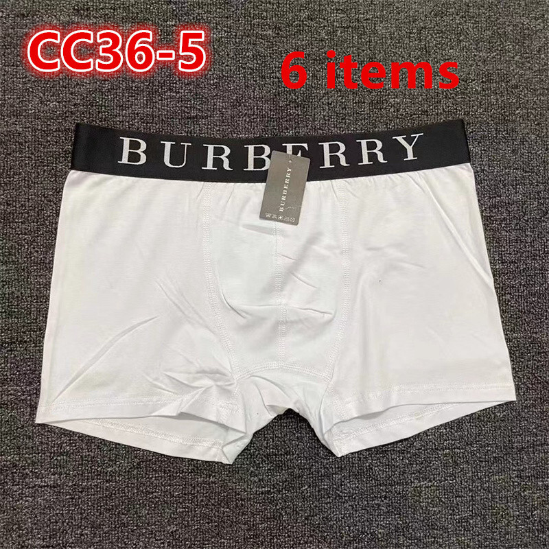 CC36-1-CC36-7  Burberry  underpants gallery