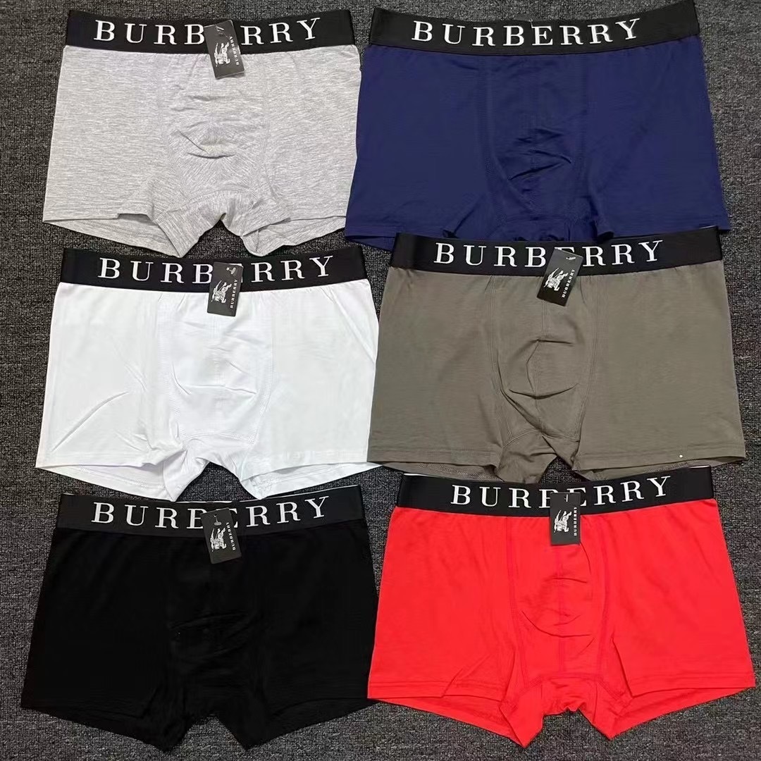 CC36-1-CC36-7  Burberry  underpants gallery